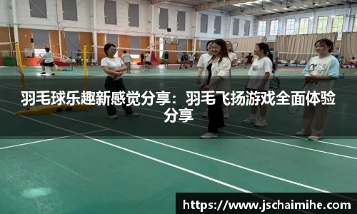 羽毛球乐趣新感觉分享：羽毛飞扬游戏全面体验分享